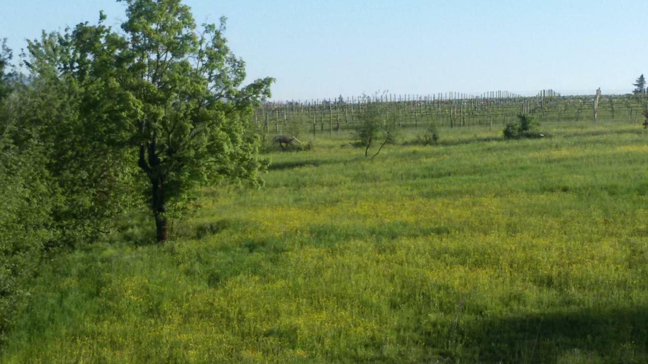 Bed and Breakfast Casa Nel Bosco Реджо-нель-Емілія Екстер'єр фото